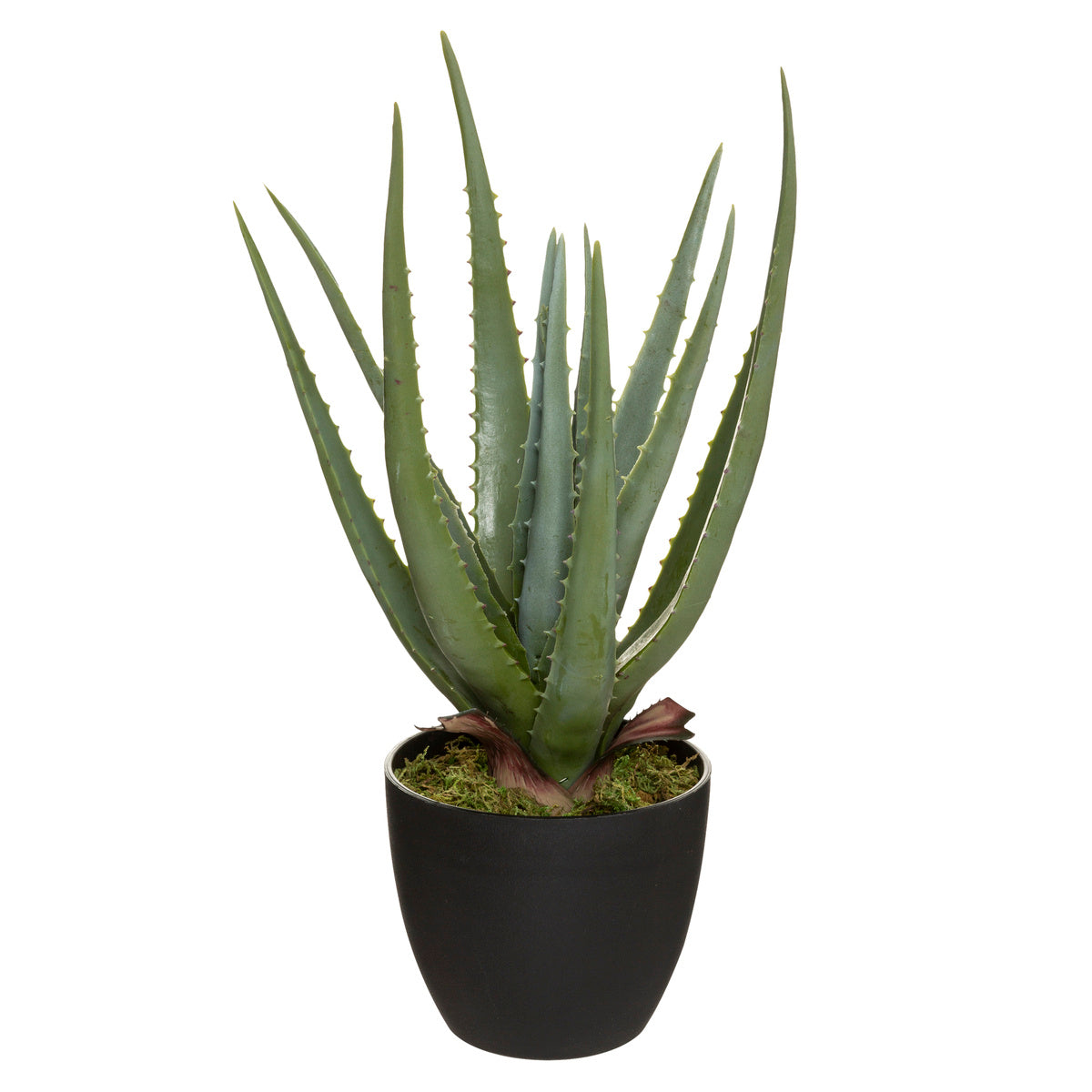 Sztuczny aloes REAL TOUCH, wys. 44 cm